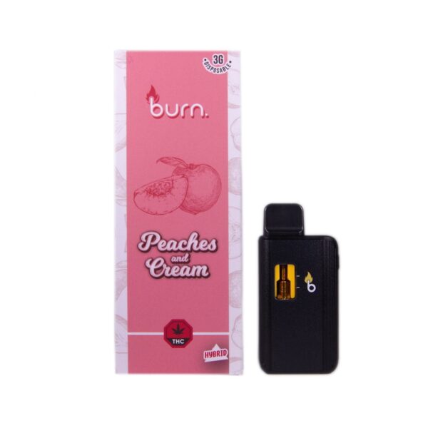 Burn - Peaches and Cream 3 Grams Disposable Vape