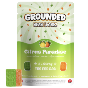 Explore Grounded High Dose Bricks – Citrus Paradise 2000mg Gummies