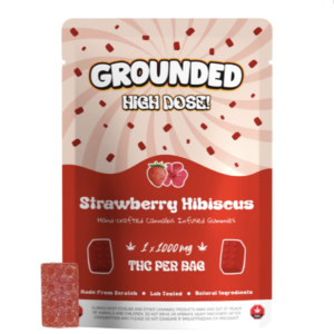 Explore Grounded High Dose Bricks – Strawberry Hibiscus 1000mg Gummy