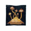 Room 920 Amazonian Cubensis Hot Chocolate Mix (1000mg) IMG 7818 1080x1080 1