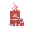 Willo 200mg CBD Relaxing Raspberry Gummies Willo – 200mg CBD Relaxing Raspberry Gummies