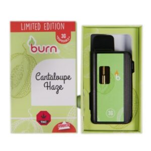 Burn - Cantaloupe Haze 3 Grams Disposable Vape