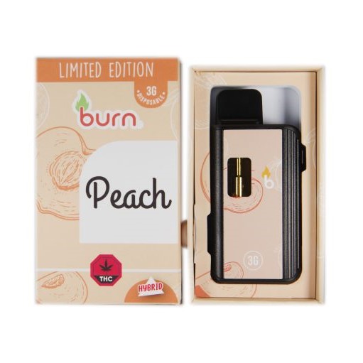 Burn - Peach 3 Grams Disposable Vape