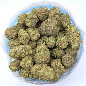Moby Dick, buy bulk weed canada, cheap weed