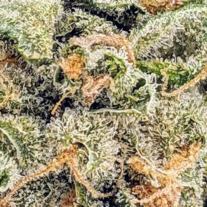 Pre 98 Bubba Kush, buy bulk weed canada, cheap weed