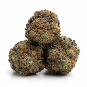 Moby Dick, buy bulk weed canada, cheap weed