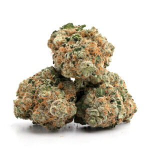 Utopia Haze, buy bulk weed canada, cheap weed