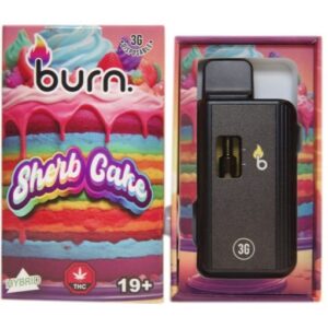 Burn - Sherb Cake 3 Grams Disposable Vape