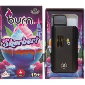 Burn - Sherbet 3 Grams Disposable Vape