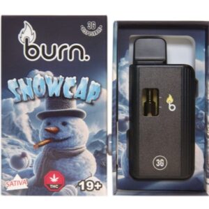 Burn - Snowcap 3 Grams Disposable Vape